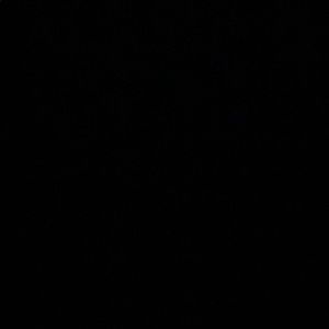 Meet your Posher, Stanley